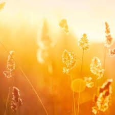 Lynn Eidson Obituary February 22, 2011