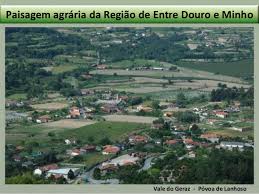 Resultado de imagem para paisagem rural no vale do sousa