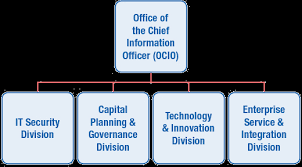 office of the chief information officer cio organization