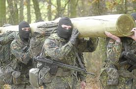 Der hatte munition, sprengkörper und eine kalaschnikow im garten vergraben. Calw Ksk Soldat Hat Geld Unterschlagen Calw Schwarzwalder Bote
