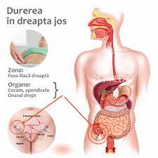 We did not find results for: Durerea In Dreapta Jos Abdomen BurtÄƒ Romedic