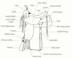 Leather Care 5 Secrets To A Well Fitting Saddle Western Saddle Horse Facts Horse Lessons
