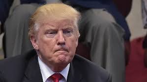 Lara Fortune's Instagram, Twitter & Facebook