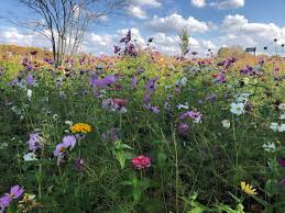 We did not find results for: Nature Beckons Say Yes Regina Brett