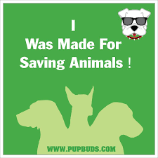 Pin By Bekki Hill On Quotes Poems Pets Vet Tech Save Animals Animal Advocacy