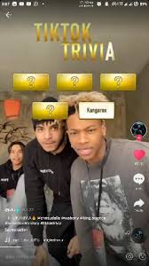This covers everything from disney, to harry potter, and even emma stone movies, so get ready. How To Get Tiktok Trivia Game Filter And Instagram Salu Network
