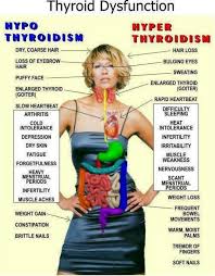 Pin On Metabolism