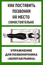 почему мы болеем и что нужно для укрепления здоровья Ideya Ot Polzovatelya Ekaterina Na Doske Trenirovki V 2020 G Uprazhneniya Joga Pered Snom Fizicheskie Uprazhneniya