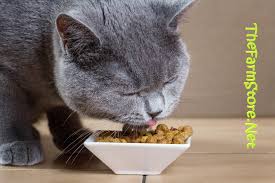 88 % of pets who were fed with this diet were able to. The Best Hypoallergic Cat Foods Reviews 2020