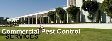 Lawn care & pest control. Southeast Florida Pest Control 9531 W Atlantic Ave Ste 5 Delray Beach Fl Pest Control Mapquest