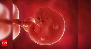 Your uterus does get bigger much faster than with a singleton. 7 Weeks Pregnant Your Baby Is The Size Of A Blueberry Times Of India