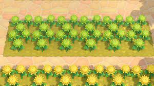 Are you thinking about ordering fresh flowers for a special occasion? How To Make Green Mums Acnh Animal Crossing New Horizons Switch Game8