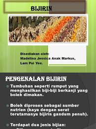 Perbezaan antara gandum dan gandum seluruh 2021. Biji Rin Pdf