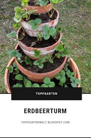 Von Krauter Und Erdbeerturmen Eine Anleitung Einen Erdbeerturm Selber Bauen Ist Nicht Schwer Zudem Gehort Er In Jeden Topf Erdbeerturm Topfgarten Pflanzen