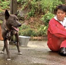 坂上忍さんの犬のサンタも保護犬で志村動物園のテレビ番組がきっかけで坂上家の犬になりました。 大家族の坂上忍さんの犬は何匹居るのでしょうか？ 名前や犬種とともに、飼い猫も紹介していきます。 sponsored link. å‚ä¸Šå¿ãŒå¿—æ'å‹•ç‰©åœ'ã§å‡ºä¼šã£ãŸã‚µãƒ³ã‚¿ã®ç¾©è¶³ä¿®è¡Œã¨ç¾åœ¨ Viearth