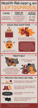 The language of the newscast is english and filipino. Infographic Leptospirosis Infographic Health Infographic Health Heal