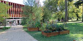 Le bon coin jardinage bourgogne | mon blog jardinage from journalmetro.com leader français des petites annonces sur le web, le bon coin est le paradis des bons plans, mais aussi un repère de choix pour les escrocs de tous poils. Jardinage Maison Et Animaux Avec Le Monde Et Binette Jardin