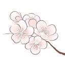Cherry Blossom Drawing Vector Images (over 5,300)