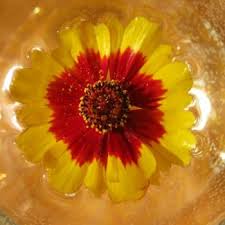 If you need a levittown. The Waste Land Cinema Show Painting By Phil Colisov Artmajeur