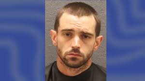 South Carolina man accused of stealing horse, hiding it in bedroom