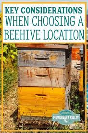 If You Are Planning On Keeping Bees You Need To Choose The Location Of Your Beehive Carefully A Beehive Can F Backyard Bee Bee Hive Plans Backyard Beekeeping