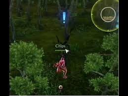 Cet arbre fendu et calciné a clairement été frappé par la foudre. Arbre Frappe Par La Foudre Youtube