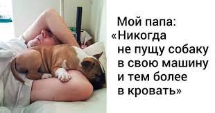 20 chelovek kotorye byli protiv domashnih zhivotnyh a teper ne mogut bez nih zhit tovary dlya zhivotnyh domashnee zhivotnoe zhivotnye