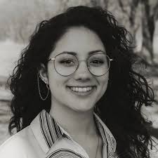 Real Estate agent near Vestal NY, 13850