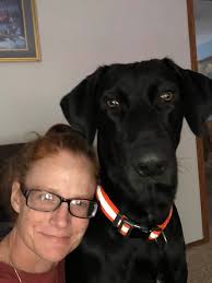 Hi 👋🏽 so glad I found this group! This my fur baby Chief ❤️ he's a 1 1/2.  He's a pain in my butt but I love him! I take lots of