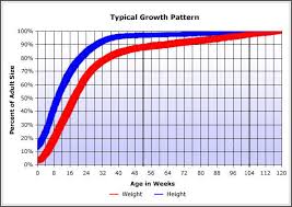 timshell farm puppy growth chart