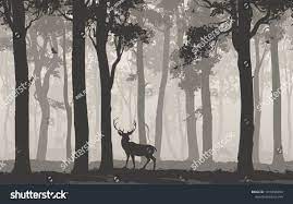 Horizontal Seamless Background With Deciduous Forest Birds And Deer Vector Illustrationbackground Vintage Illustration Seamless Background Natural Background