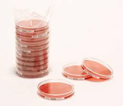 En la mayoría de los laboratorios de bacteriología se usa el dúo agar xld y agar ss para el estudio de muestras fecales en busca de shigella y salmonella. Readyplate Xld Agar Acc Iso 6579 For Salmonella Spp Box Of 20 Plates 90 Mm Plate Sigma Aldrich
