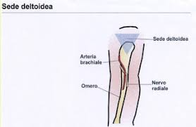 Image result for infermieristica come fare l'iniezione