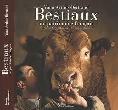 Epingle Sur Pictus Portfolio