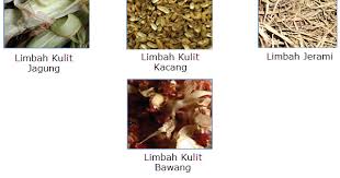 Contoh limbah lunak organik dan anorganik salah satu jenis permasalahan yang masih saja selalu menjadi masalah di muka bumi adalah permasalahan tentang limbah. Limbah Lunak Organik Angkoo