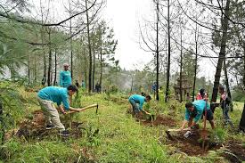 = penggunaan racun serangga, racun rumpai dan baja kimia yang berlebihan mencemarkan tanah = hakisan tanih = memusnahkan sumber hutan yang berharga = mengurangkan kesuburan tanih. Pelestarian Lingkungan Hidup Definisi Dan Tujuan