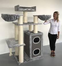 The maine coons coat is long and flowing but is generally if a large yard is not available cat trees and perches are a good alternative. Cat Tree King Australia For Big Cats Cat Tree Large Cats Cats