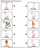 Bambi is a fawn but has no spots. Farm Animals And Their Babies Worksheet Turtle Diary