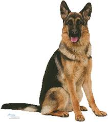 Only full cross stitches are used in this pattern. Artecy Cross Stitch German Shepherd Sitting Cross Stitch Pattern To Print Online