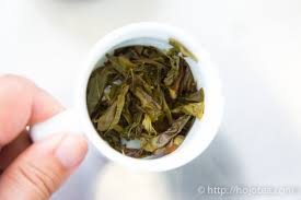 放置したいれかけの茶葉は翌日も飲める お茶の専門店hojo
