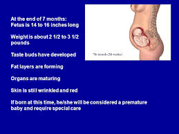 We conclude that 14 inches is equivalent to 1.1666666666667 feet: Human Growth And Reproduction Ppt Video Online Download