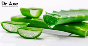 Image result for Aloe