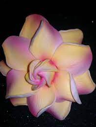 Gardeniapinkyellow Pink Gardenia Yellow By Msformaldehyde On Etsy 12 50 Gardenia Tattoo Gardenia Bridal Clip