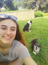 Sharing this short film today after hearing the sad news that Rhu, the  beautiful blue merle collie dog who was the star of the film for the song  'Dh'èirich mi moch, b'feàrr