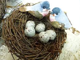 Bird Egg White With Brown Speckles 12 Bird Egg Floral Supply Decorations Etsy In 2020 Bird Eggs Parakeet Bird Supplies