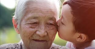 Statement from Archbishop Peter A Comensoli on…