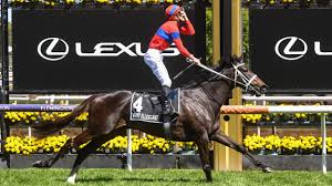 In decimals, 1/3 of a cup is.33 cups, so.33 cups plus.33 cups equals.66 cups. V2dkvpqyf4yfqm