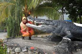 The 19ft crocodile terrorises the batang lupar river for more than 10 years killing 19 innocent. Goadventure Sarawak Jong S Crocodile Farm Tour From Kuching