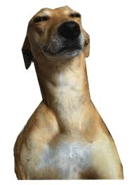 Link directly to the gif Ilmu Pengetahuan 8 Dog Gif Transparent