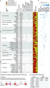 The element for cancer zodiac sign is water. Pan Cancer Screen For Mutations In Non Coding Elements With Conservation And Cancer Specificity Reveals Correlations With Expression And Survival Biorxiv